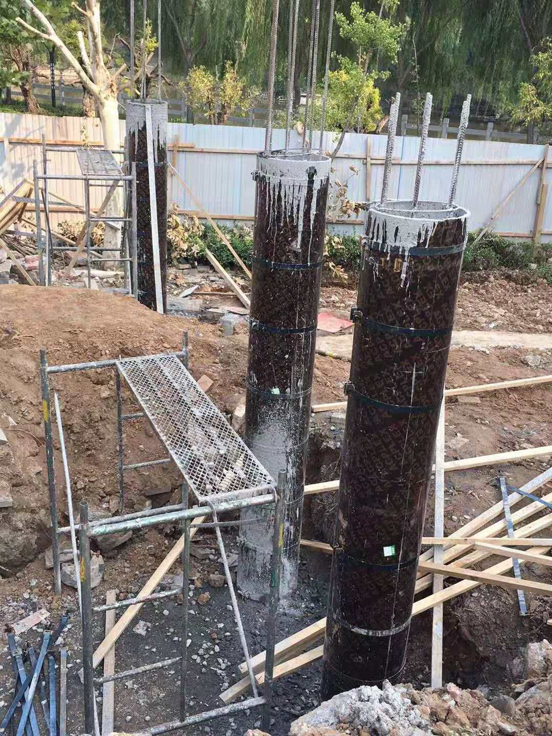 V݈Aģ߶ƏS҈Aģ嶨ľ|A